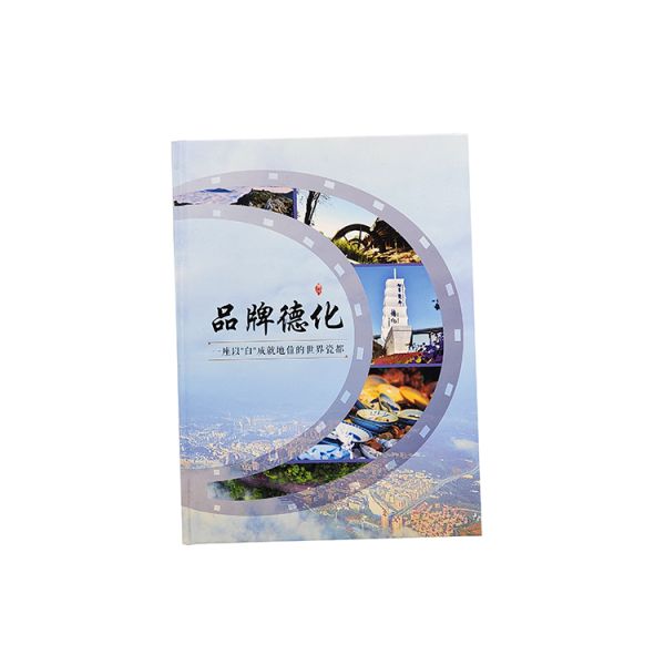 OEM Flexographic Instruction Booklet Printing Film Lamination
