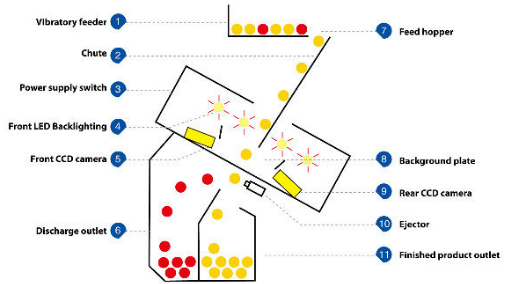 3.0t/H CCD Coffee Bean Sorting Machine With High Processing Accuracy