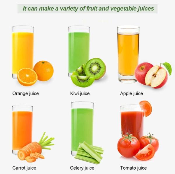 Pineapple Tomato Mango Pulp Juicer Extractor Machine Cold Press Juicer Machine 500-2500KG/H