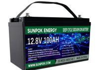 lithium rechargeable Ion Battery Pack d'Ion Rv Battery 12v de lithium de 100ah 105ah