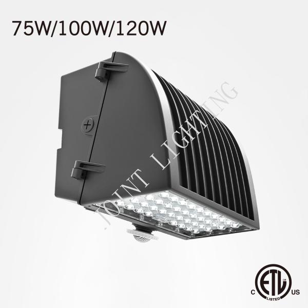 Waterproof 2700K 25W IP65 Semi Cutoff Wall Pack