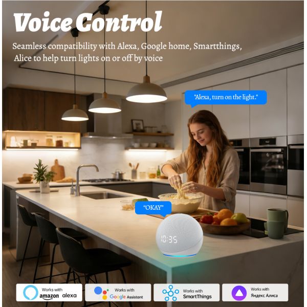 ODM Smart Lighting Control Alexa Touch Panel Wifi Switch No Neutral 86mm