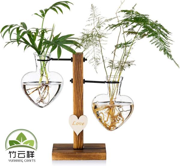 Customized Wood Holder Desktop Plant Glass Vase Plant Propagation Terrarium