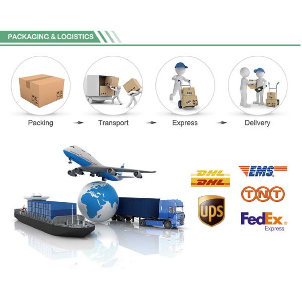 NingBo Fulgent Technology Co.,Ltd