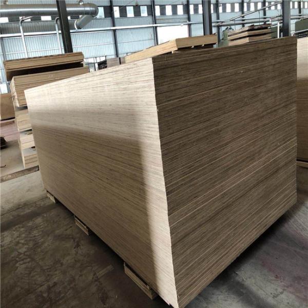 Package E1 Glue 1220x2440mm Sapele Faced Plywood