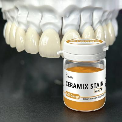 Ceramic Stain Dental Stain and Glaze Non toxic Variable Opacity Options Designed