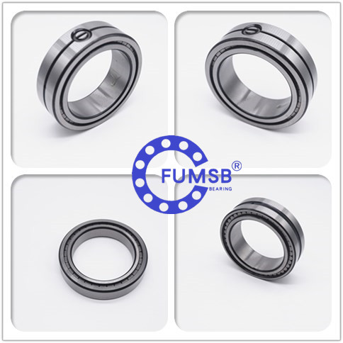 D100mm Multirow Full Complement Cylindrical Roller Bearings