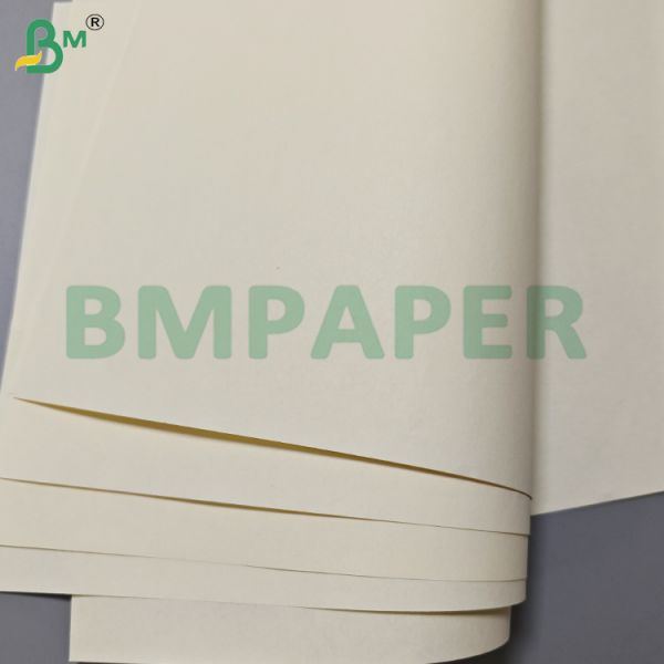 70gsm 80gsm Cream Color Book Paper Jumbo Rolls Offset Printing