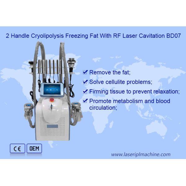 Угол 360 окружая 40k Cryolipolysis уменьшая машину