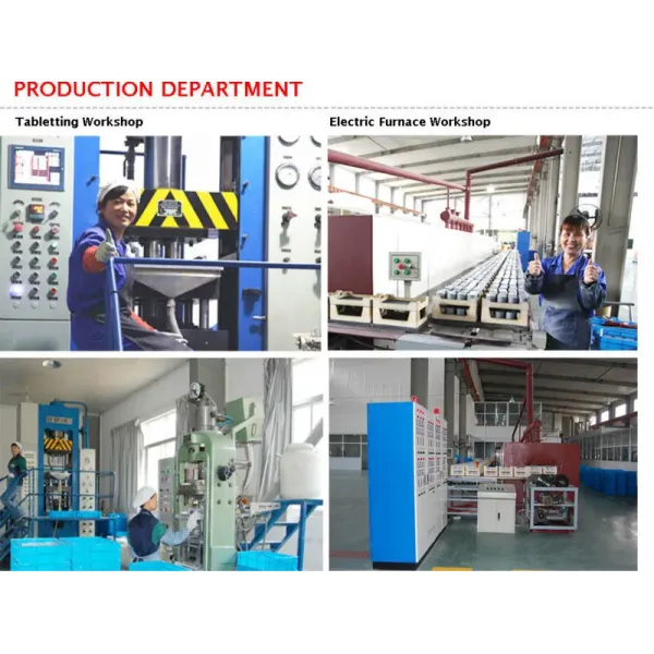 110kV Polymer Housed Surge Arrester with Leave Device for Substation