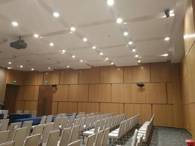 Salle de conférences Panneaux muraux en bois linéaires en placage à rainures