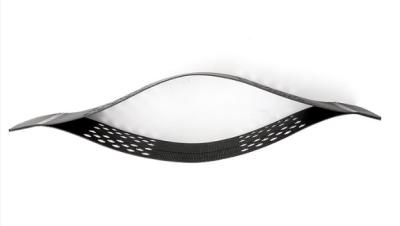 Le noir a donné au renfort une consistance rugueuse perforé de sol de protection de racine d'arbre de HDPE de Geocell