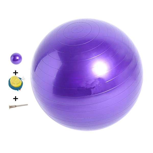 55cm 65cm 75cm Stability Pilates Fitness Gym Exercise Yoga Ball for Home Gym Core Training