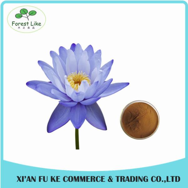 China Manufacturer Blue Lotus Extract/Dried Blue Lotus Flower Extract/GMP Blue Lotus Powder