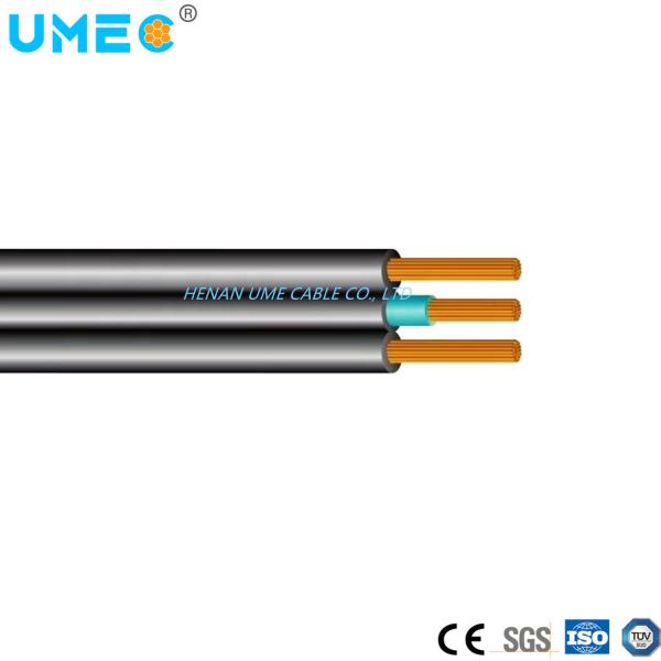 Cordão de PVC de 300 V para o subterrâneo especificado pelo cliente Spt Spt-1 Spt-1W Spt-2W