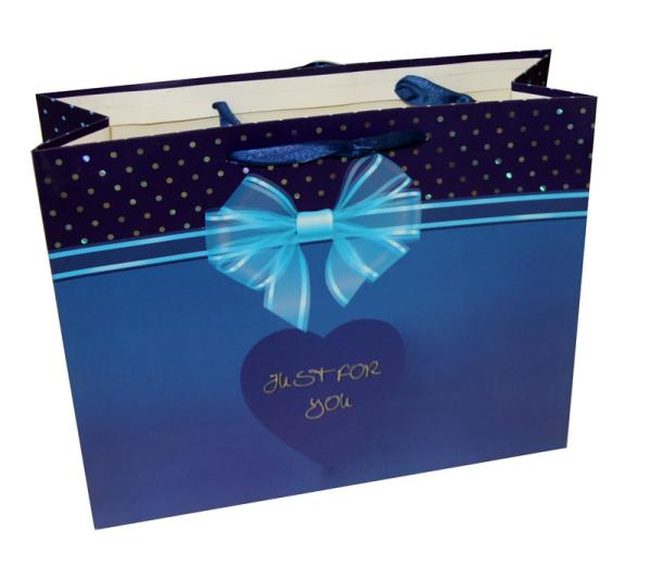 Shining Coats Paper Carrier Bag for Gift Packing  Ribbon Handle