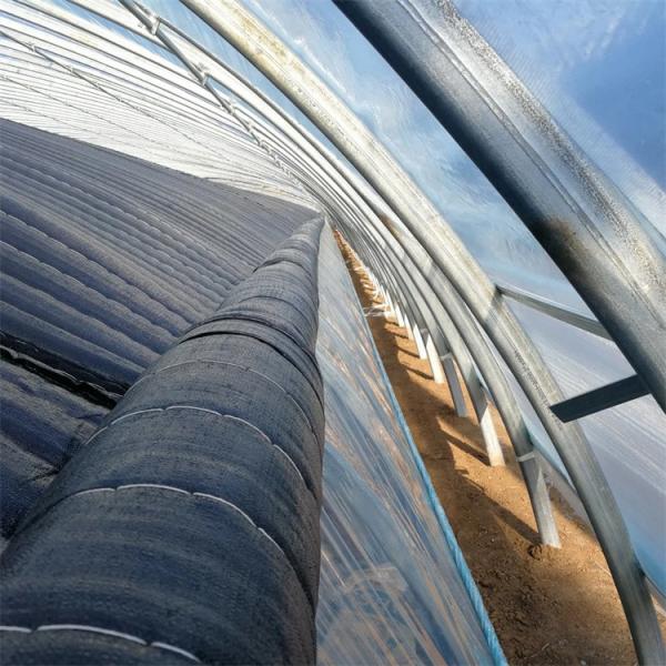 Túnel solar passivo do filme plástico da estufa do inverno da área fria único
