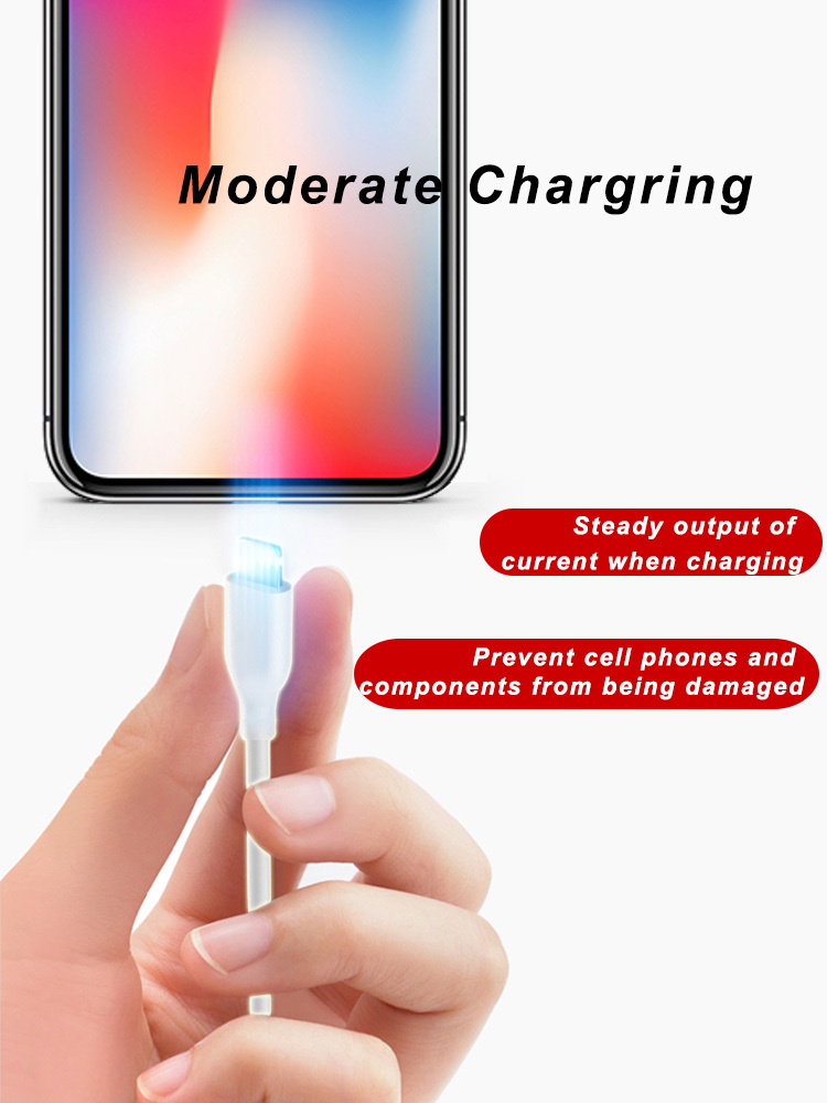 FCC USB 2.0 Lightning Cable 36g USB C Sync And Charge Cable
