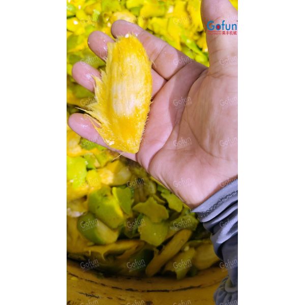 Complete Fruit Processing Line | Washing, Juicing, Concentration & Blending – One Turnkey Solution