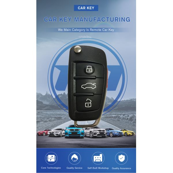 315/ 48 Original Auto Keys FCCID NBGFS12A71 Model FS12A71