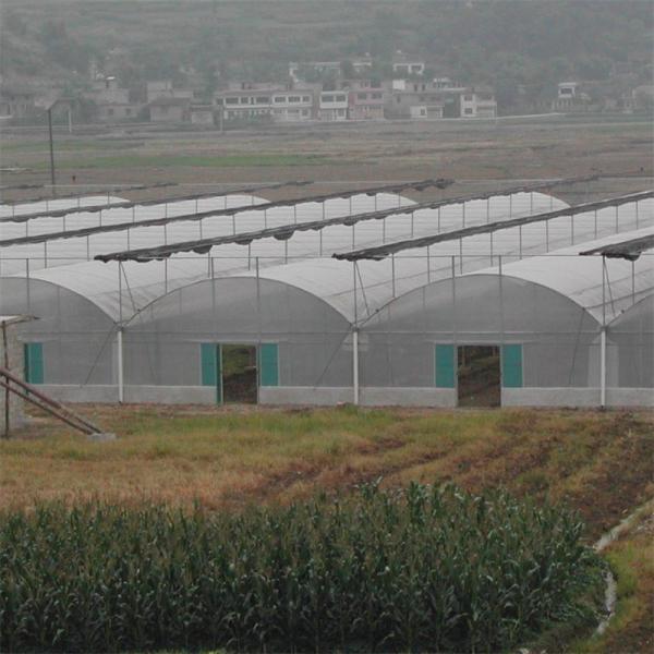 Hard Corrugated 8m Width Plastic Film Greenhouse Wind Resistant