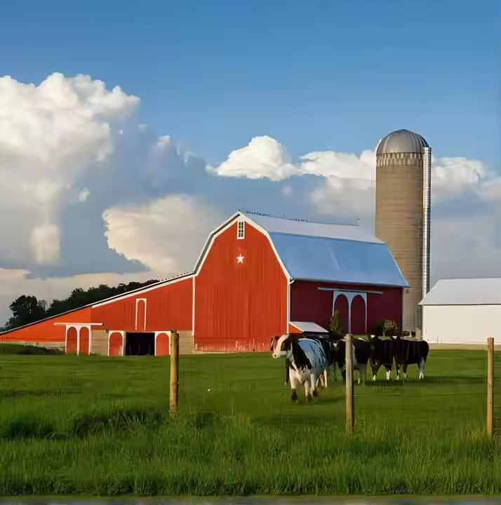 Anti Earthquake Steel Structure Cow Shed 7-28mm Web Width For Cattle Management