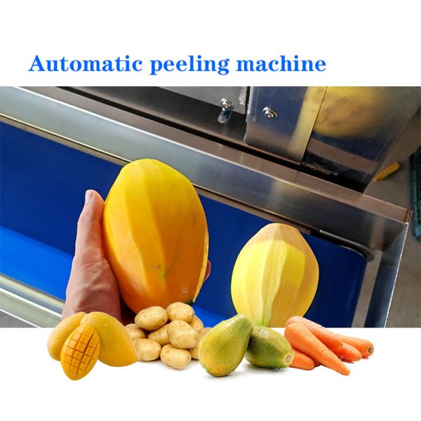 Turnkey Dried Mango Processing Line with Osmo-Dehydration & Air Drying for 1 t/h-20 t/h Capacity