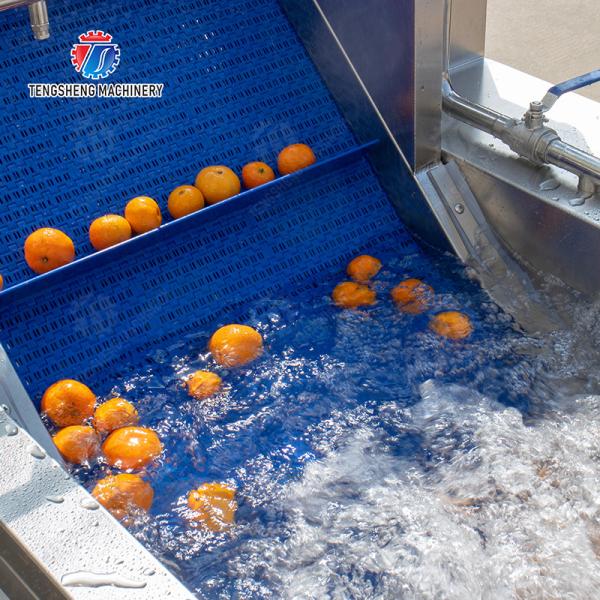 vegetable drying equipment	Fruit and vegetable selection  washing and drying production line Fruit Vegetable FOOD processing production Machine fruit juice processing machines