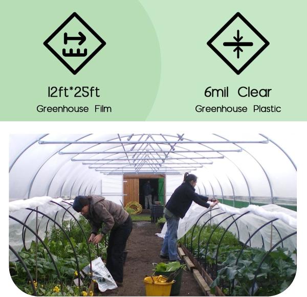 Greenhouse Plastic Sheeting 12x25 ft, 6 mil Clear Film Cover UV-Resistant Polyethylene Greenhouse Film