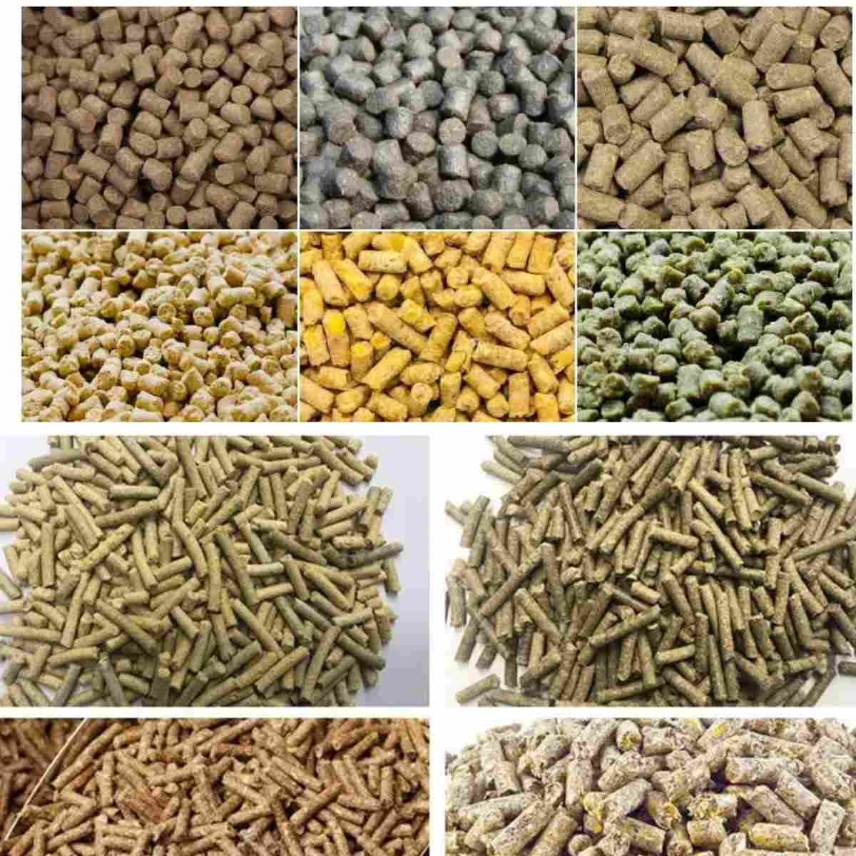 Машина 200-1200kg/H лепешки PTO деревянной мельницы лепешки PTO животных портативная