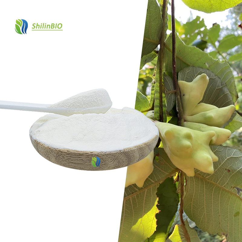 High Quality 50% 90% 99% Gallic Acid Powder CAS 149-91-7 Gallnut Extract Powder