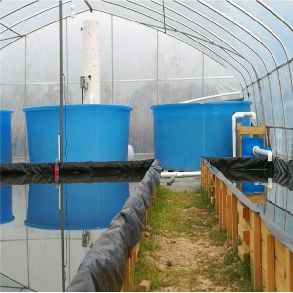 Открытое верхнее Аквапоник растет кровать для рыб аквакультуры, цистерны с водой М5000 Аквапоникс