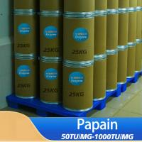 300USP-6000USP Enzyme protéase Produits alimentaires de qualité pharmaceutique Papaïne personnalisée