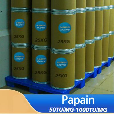 300USP-6000USP Enzyme protéase Produits alimentaires de qualité pharmaceutique Papaïne personnalisée