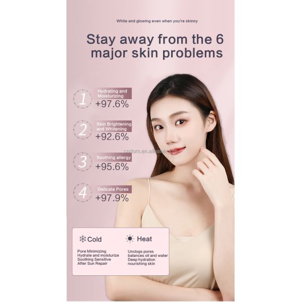 Facial Steamer Moisturizer for Multifunctional SPA Equipment Standard GB4706.15-2008