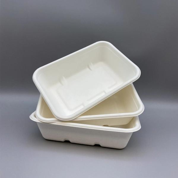 100 por cento biodegradável talheres descartáveis ​​bagaço de cana-de-açúcar papel lancheira