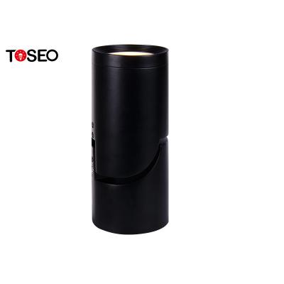 Черный/белый потолок Bathroom делает центром внимания поверхностные установленны