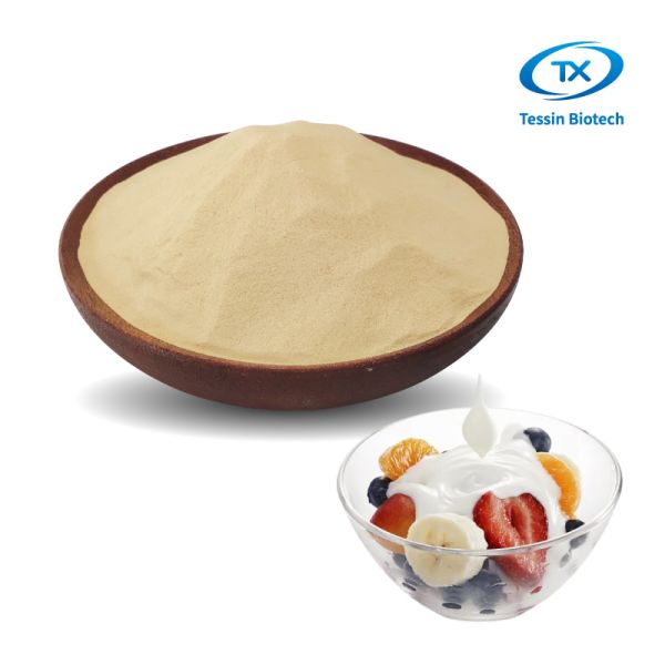 Flavor Ingredient Dry Inactive Nutrition Yeast Fermentation Derived Functional Protein OEM