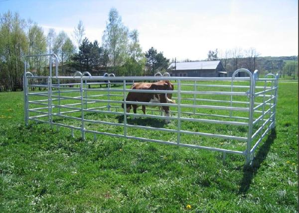 Anti Escape Corrosion Resistant Livestock Fence For Cattle / Sheep / Horseses