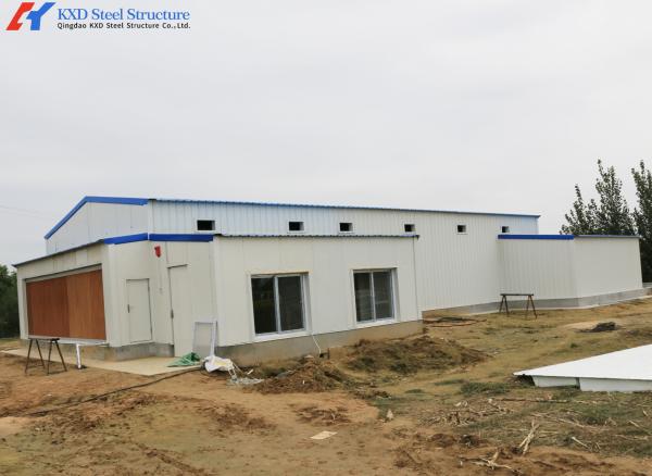 Automatic Steel Structure Poultry Farm Shed for Broiler Chicken Housing