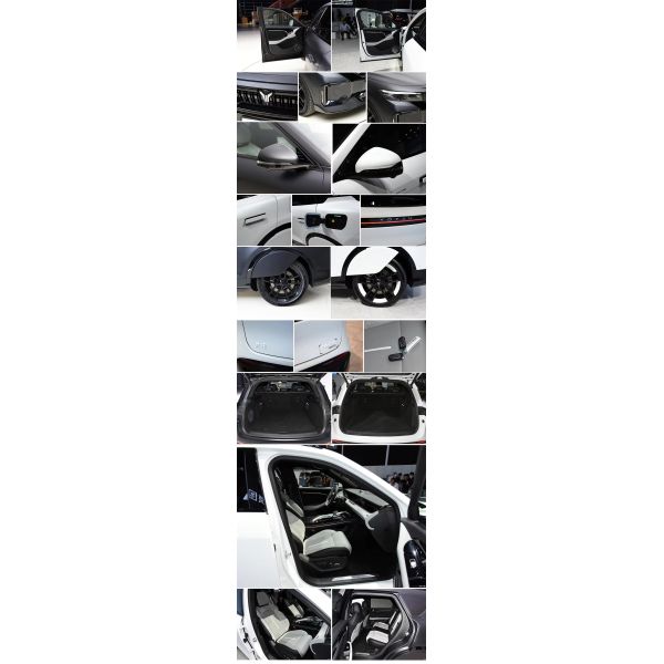 Midsize SUV Voyah Free Electric Car The Perfect Combination of Luxury and Performance