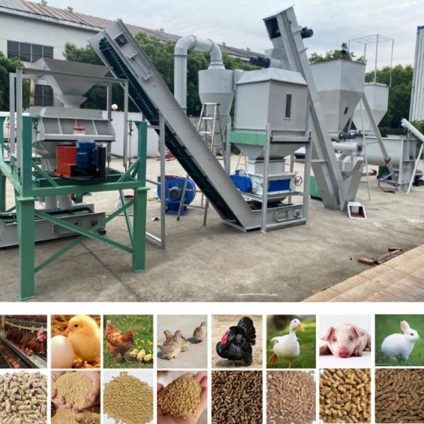 Flat Ring Die Pellet Mill Animal Feed Pelletizing Line for and Engineer Guide Installation