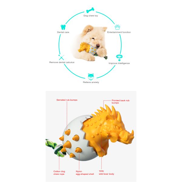 Most Popular High Quality Bite-resistant Star Pet Dog Cooling Pet Training Clean Teeth Chew Dog Toy