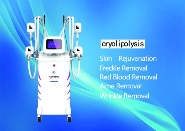 Vertical Cryolipolysis Slimming Machine , 4 - Handle Type Fat Reduction Equipment