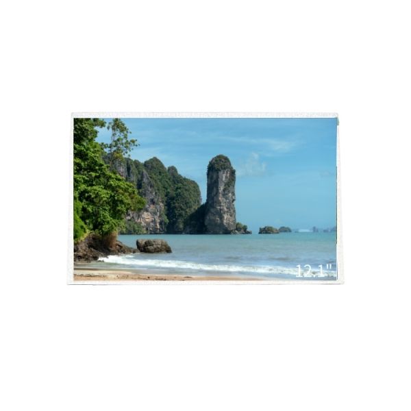 500nits TFT LCD Display 12.1 Inch LVDS TFT LCD 1280x800 Resolution