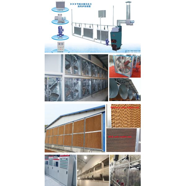 3/4 tier A Type Chicken Cage Chicken Egg Layer Cage For Poultry Farms