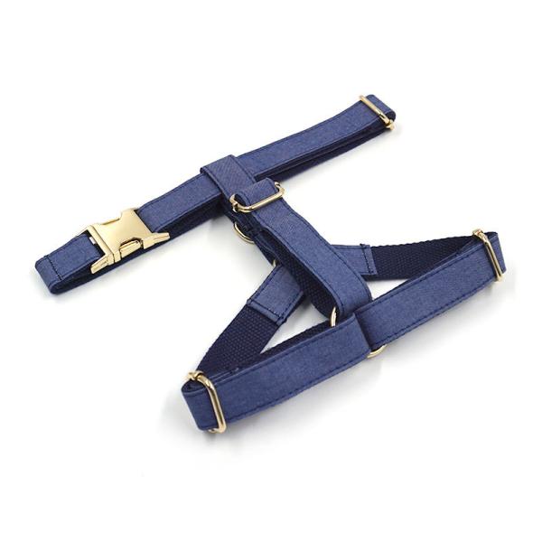 Dog Velvet Collar Leash Harness Set Luxury Collar Set Pet Leash Poop Bag OEM ODM Accepted