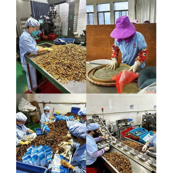 Shuntai (GZ) Health Care Industry Co.,LTD