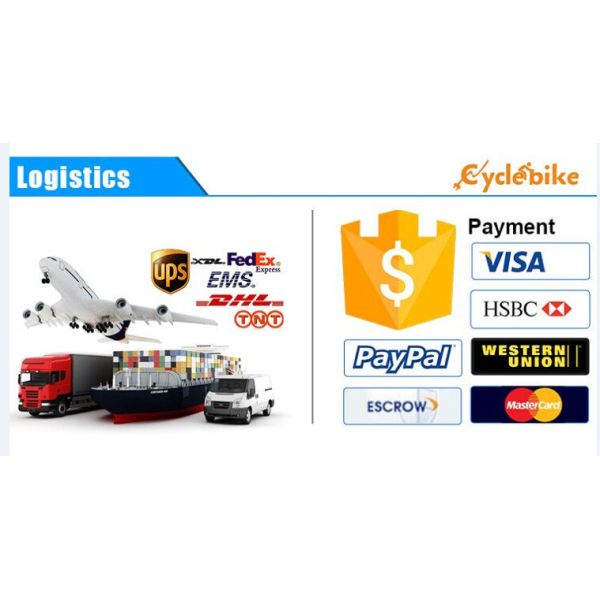 CE 36v 10ah Lithium Battery Pack For E Bikes , Electric Bike Replacement Battery