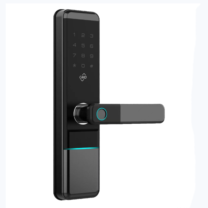 Popular ELA E-596 Tuya Keyless Entry Biometric Fingerprint Password Home Digital Smart Door Lock